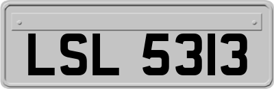 LSL5313