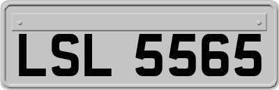 LSL5565