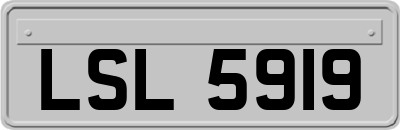 LSL5919