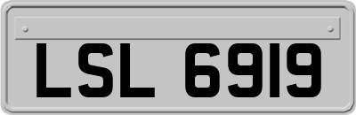 LSL6919