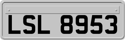 LSL8953