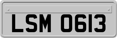 LSM0613