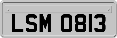 LSM0813