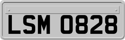 LSM0828