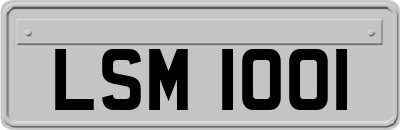 LSM1001