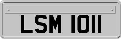 LSM1011