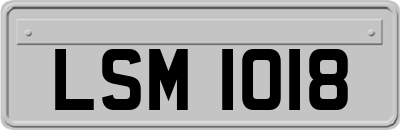 LSM1018