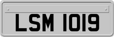 LSM1019
