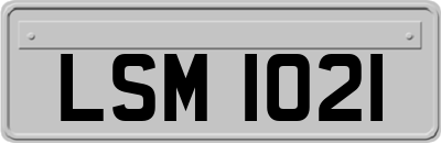 LSM1021