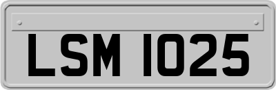 LSM1025