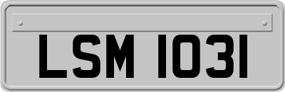 LSM1031