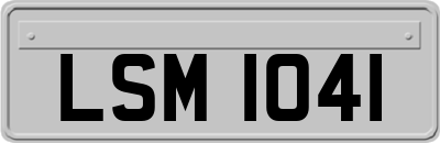LSM1041