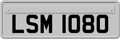 LSM1080