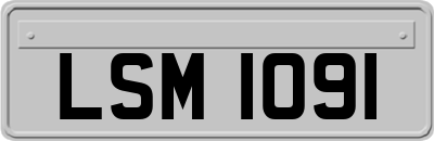 LSM1091