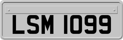 LSM1099