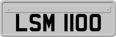 LSM1100