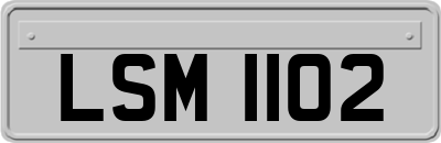 LSM1102