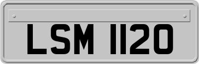LSM1120