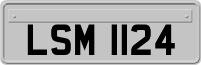 LSM1124