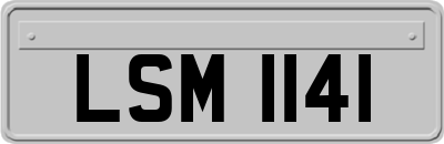 LSM1141