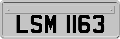 LSM1163