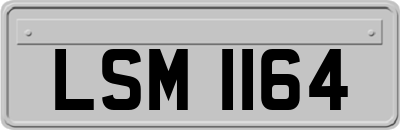 LSM1164
