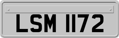 LSM1172