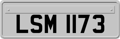 LSM1173