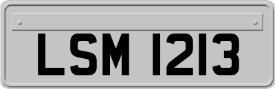 LSM1213