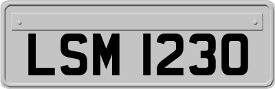 LSM1230