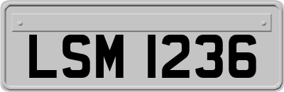 LSM1236