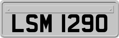 LSM1290