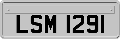 LSM1291