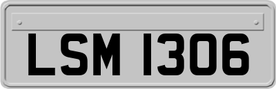 LSM1306