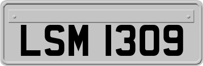 LSM1309