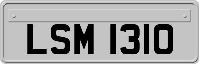LSM1310