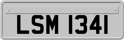 LSM1341
