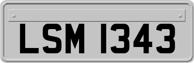 LSM1343
