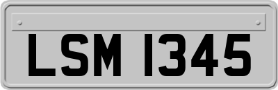 LSM1345