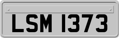 LSM1373
