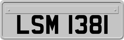 LSM1381