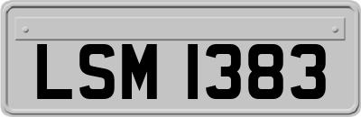 LSM1383