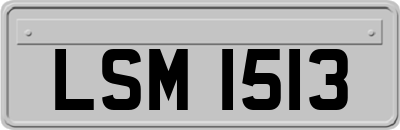 LSM1513