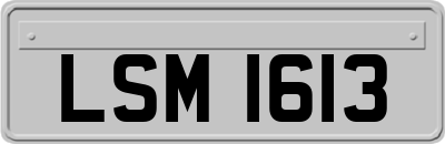 LSM1613