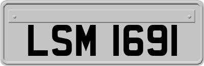 LSM1691