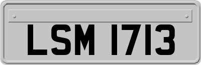LSM1713