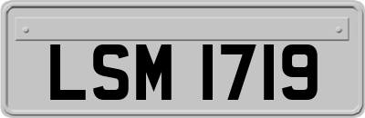 LSM1719