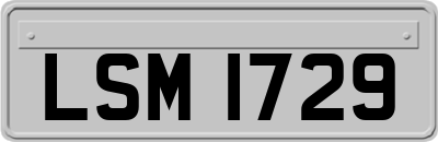 LSM1729