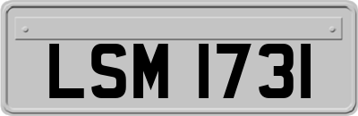 LSM1731