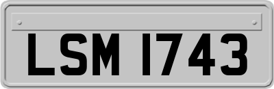 LSM1743